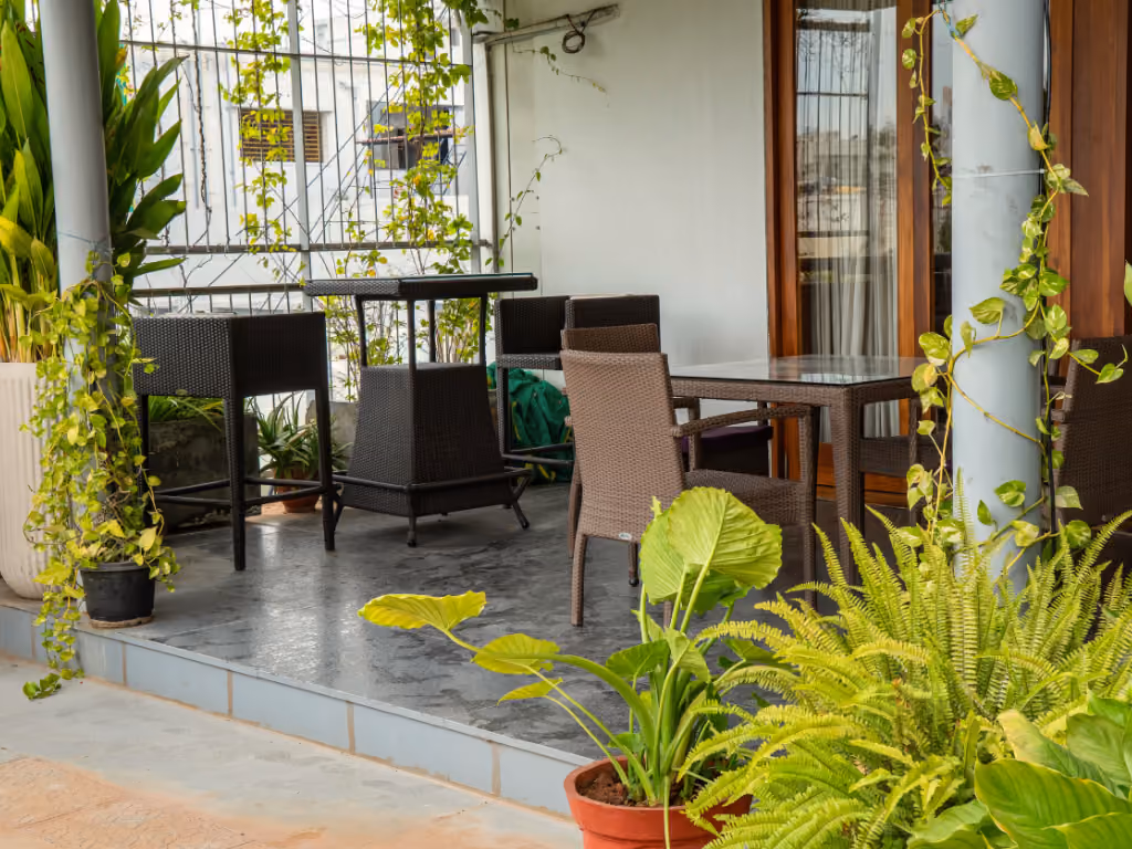 A covered balcony with rattan chairs and tables, framed by ferns and trailing plants